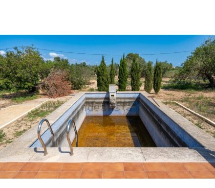 Leeres Schwimmbecken mit trübem Wasser, umgeben von Bäumen und Landschaft.